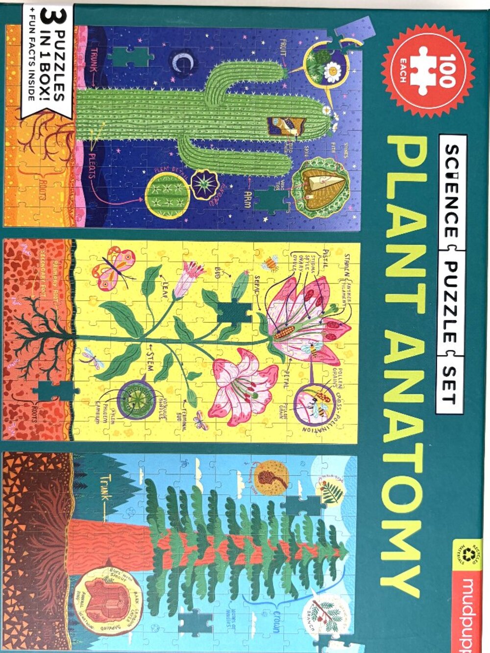 Mudpuppy Plant Anatomy Science Puzzle Set 3-in-1 Educational Kids Puzzle